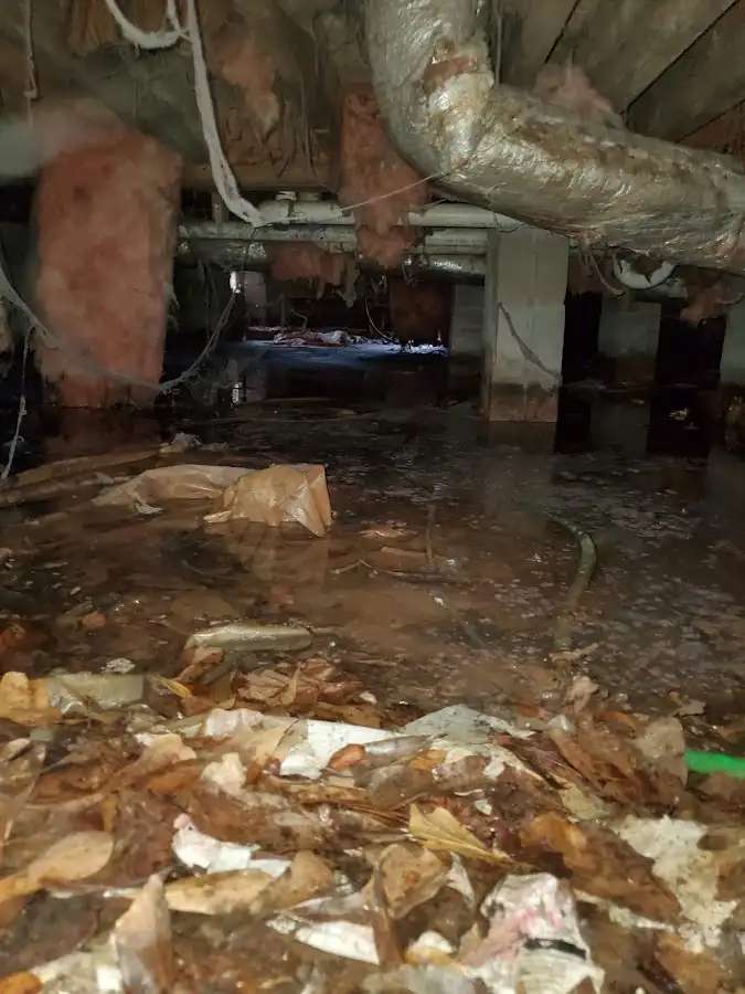 Crawl space flood assessment for Leak Detection & Repair in Spout Springs